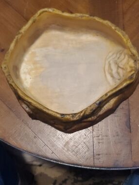 Yellow Reptile Habitat Dish by